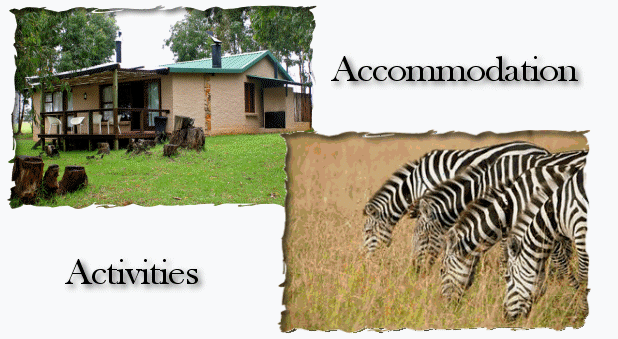 Home Trout Woods Self Catering Cottage Dullstroom